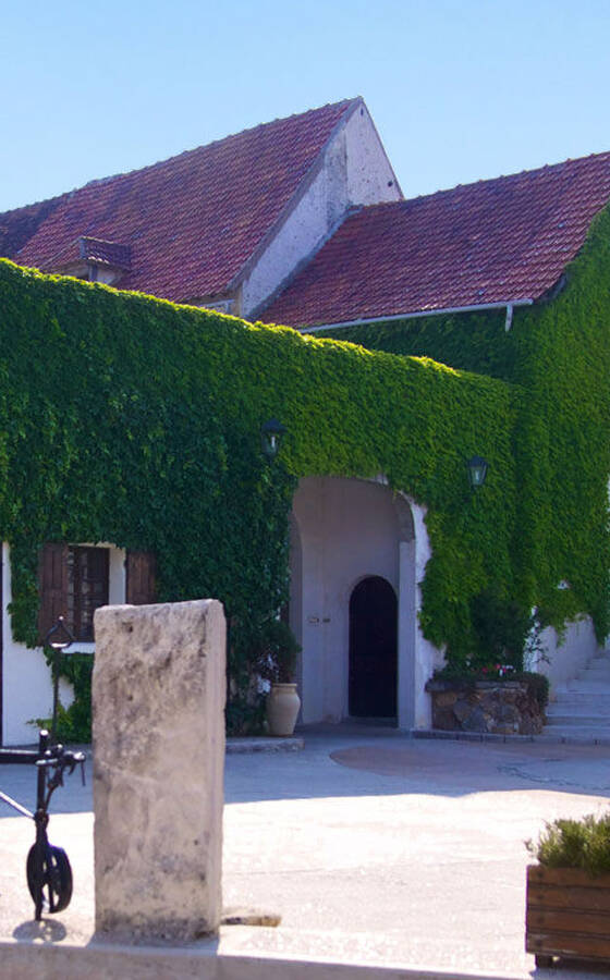 Domaine de la Ferme aux Saules - Avis, Photos et Téléphone