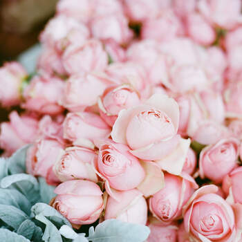 Centro de flores rosas y grises azuladas. Credits: Katie Parra Photography