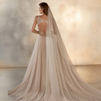 Meteor, Pronovias