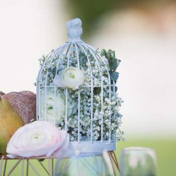Photo: Wedding &amp; Confettis