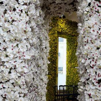 Un pasillo de orquídeas daba la bienvenida a los invitados al desfile. Foto: Dior