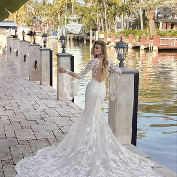 Vestidos de novia Demetrios 2020