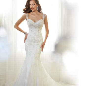 Credits: Sophia Tolli