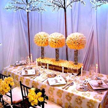 ¿Elegirías esta decoración para tu boda? 