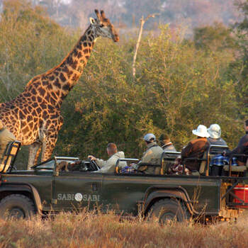 Disfruta de un safari por el Kruguer. Un viaje a medida que nunca olvidareis. Foto: No hay distancia.