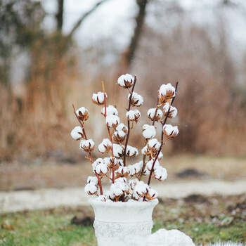 Eine winterliche Hochzeitsfeier. Foto: Bell Studio - Esther&amp;Gabe