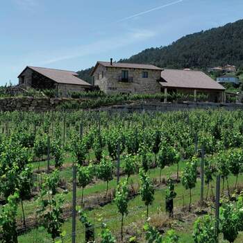 ¿A quién no le gustaría disfrutar de una magnífica jornada de cata de vinos en una bodega? Es solo una de las experiencias que podrás regalar a los novios si buscas en Zonaregalo.com. Foto: <a href="https://www.zankyou.es/f/zonaregalocom-23780" target="_blank">Zonaregalo.com</a>