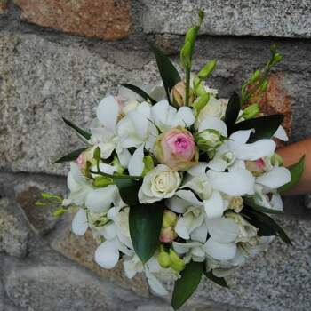 Foto: La Camelia Floristería