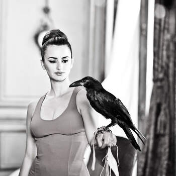 Penélope Cruz sosteniendo un cuervo negro, otra de las imágenes intrigantes del nuevo calendario Campari 2013. Foto: Francesco Pizzo