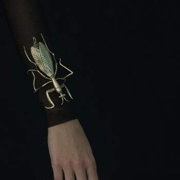 Pulsera insecto. Credits: Suma cruz