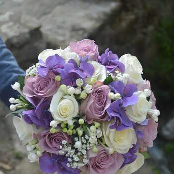 Foto: La Camelia Floristería