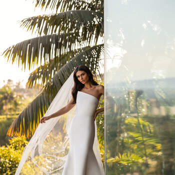 Pronovias Cruise Collection 