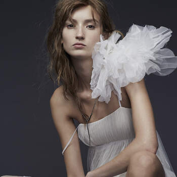 Vera Wang Colección otoño 2015