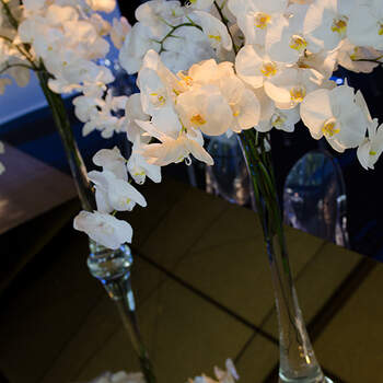 Orquídeas blancas en jarrones de tubo. Foto: © Ellen Van Gaalen