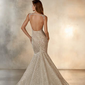 Starlight, Pronovias