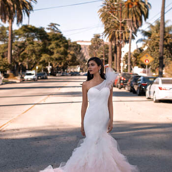 Photo: Pronovias 2021 Cruise Collection