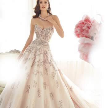 Credits: Sophia Tolli