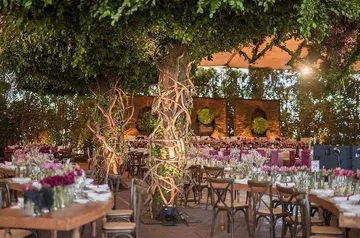 Los 25 mejores jardines para bodas y eventos de CDMX