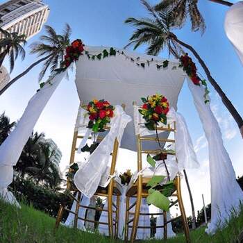 La naturaleza se encarga de aportar la decoración natural para la boda. 