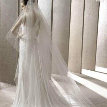 O véu é parte importante para o look de toda noiva que opte por usá-lo! Veja a coleção Pronovias dos mais lindos véus. Foto: <a href="http://zankyou.9nl.de/oss2" target="_blank">Pronovias</a>