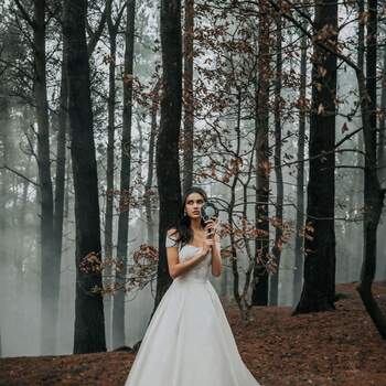 Belle by Allure Bridals | Style: D262 | Créditos: Disney