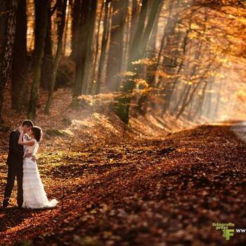 Jeżeli chcesz, aby to zdjęcie zdobyło tytuł najlepszego zdjęcia ślubnego 2012 w Polsce, wpisz w komentarzu poniżej jego numer.
