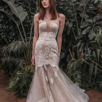 Photo : Claire Pettibone