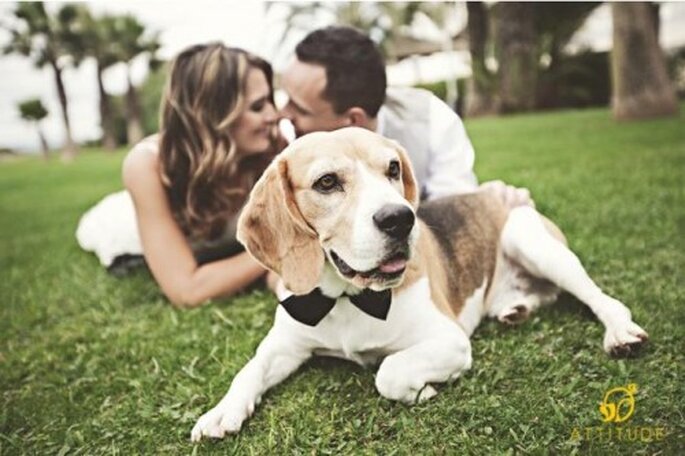 Sesión de fotos pre boda con perros - Foto Fran