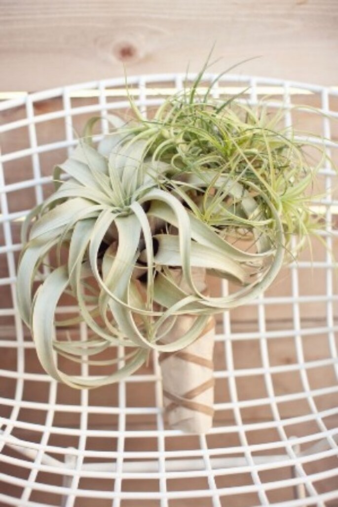 Optá por plantas del aire para tu ramo de novia - Foto: Green wedding shoes