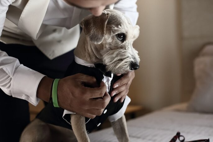 Foto: Juan Arango Wedding Photographer