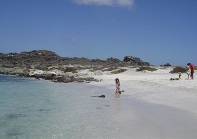 Isla Damas es un punto atractivo que se está volviendo popular entre los chilenos.