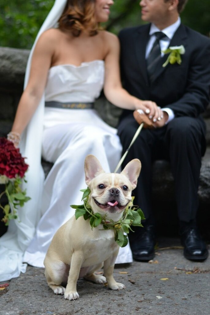 6 tips para incluir a tu mascota en la boda - Jessica Schmitt Photography