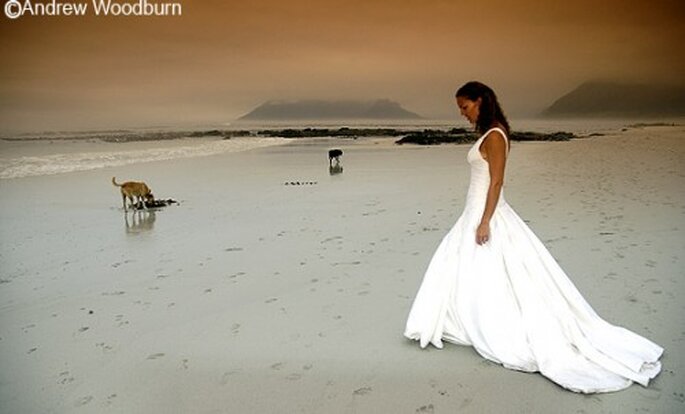 Las fotos de boda con tu perro le darán un toque muy original - Foto Andrew Woodburn