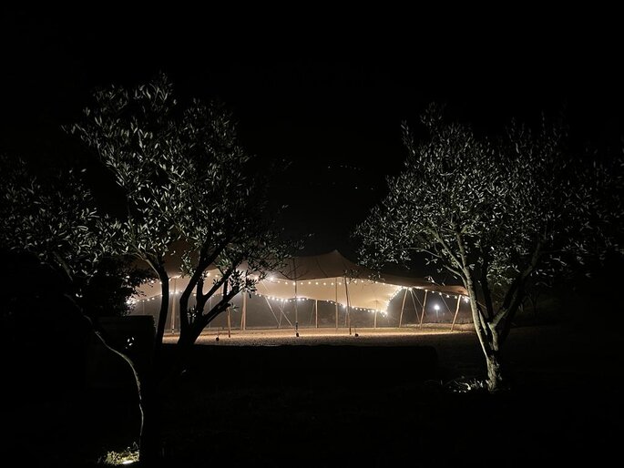 Tente de location avec des éclairages guinguettes au milieu des oliviers la nuit 