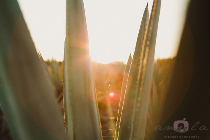 Real Wedding de Mariana y Rafa en Gran Hacienda Valladolid - Foto Aniela Fotografía