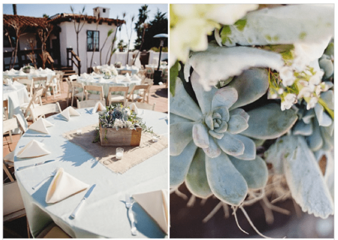 Decoración de boda con elegantes suculentas - Foto Matthew Morgan Photography