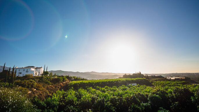 Cortijo Bravo