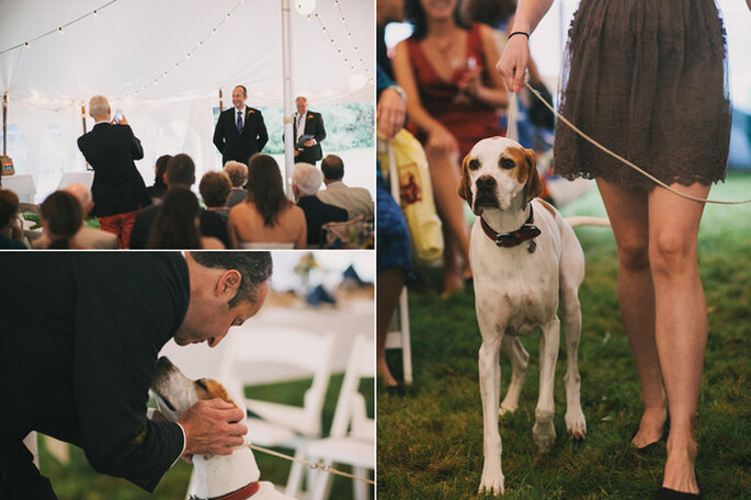 La mascota también participa del cortejo. Foto: Alexandra Roberts Wedding Photograph