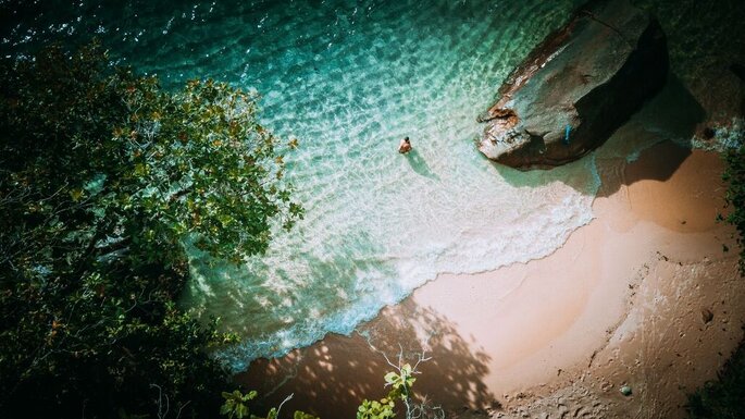 Paysage bord de mer - Seychelles