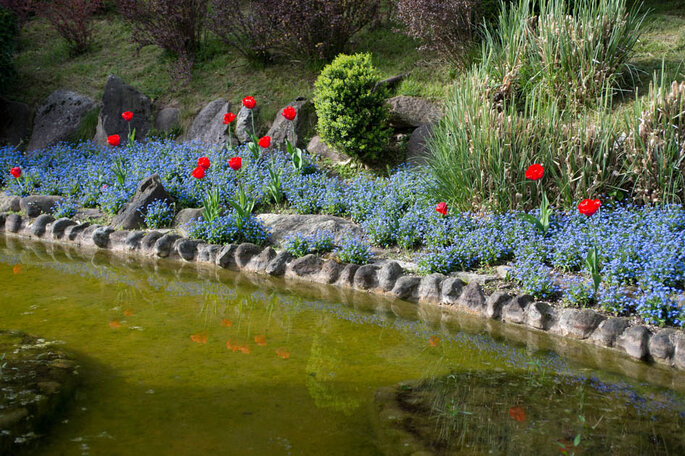 Lo splendido manto fiorito del Giardino. - Foto: Marilena Mura