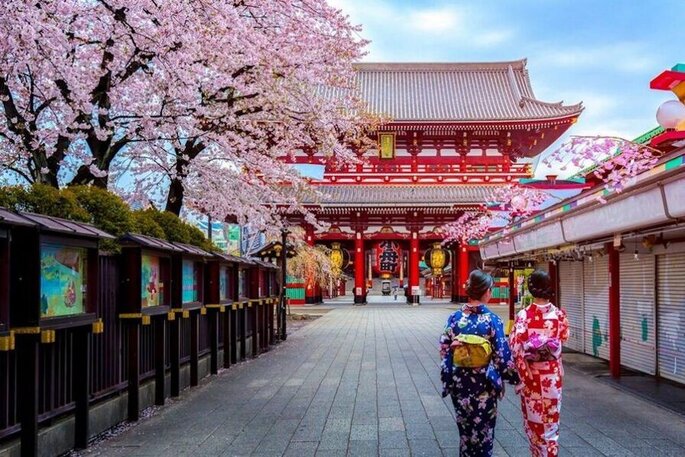 Giappone, pagoda con alberi ciliegio in fiore, due geishe in primo piano