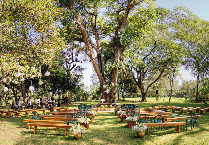 des bancs, des talons, des pots de fleurs, une allée jusqu'à un arbre immense - un décor de cérémonie laïque 