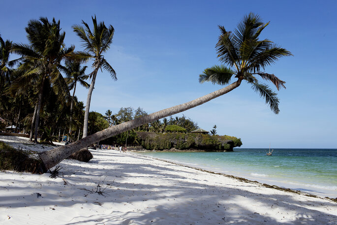 Preciosa playa con palmeras en Kenia.