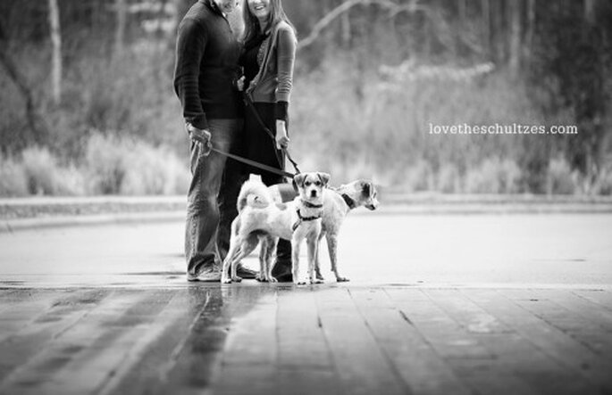 Diviértete y deja que tus perros hagan poses divertidas en la sesión de fotos - Foto Cheyenne Schultz Photography