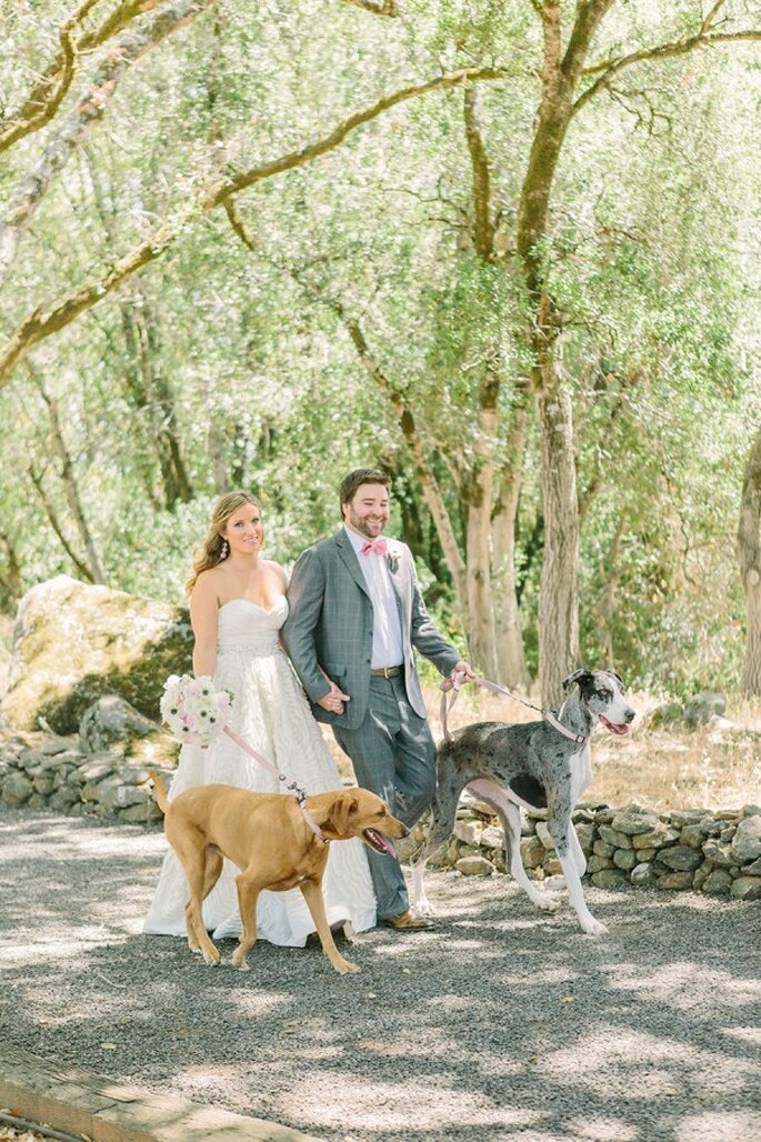 6 tips para incluir a tu mascota en la boda - Matt Edge Wedding Photography
