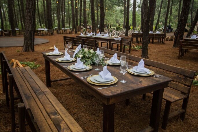 boda al aire libre en un bosque