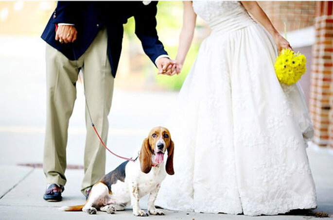 Que faire de vos animaux le jour de votre mariage ? (photo : oggisposi.tgcom)