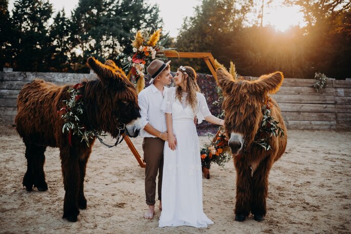 Die Farben des Orients Hochzeitsshooting Brautpaar mit Eseln
