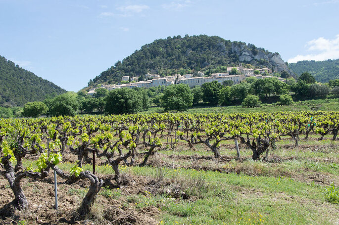 Domaine viticole pour mariage dans le Vaucluse