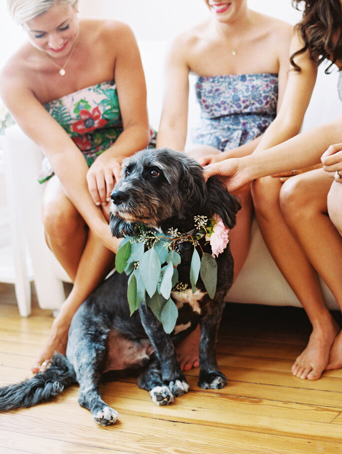 Tu mascota en tu boda - Katie Stoops Photography